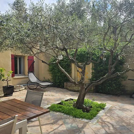 The Patio Of Montaury In * Nîmes